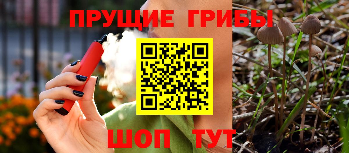 Алексеевка  Псилоцибиновые грибы MAGIC MUSHROOMS  Вход с VPN  Галлюциногенные грибы GOLDEN TEACHER 